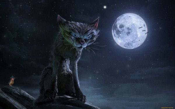 Кошка Луна