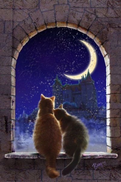 Кошка под луной