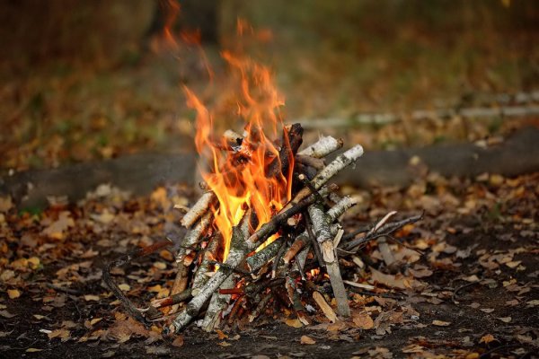 Осенний костер