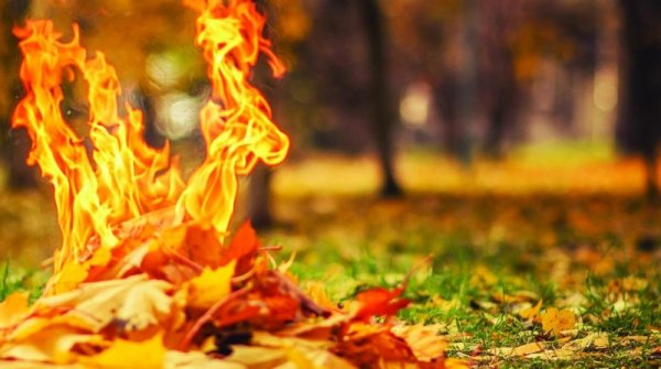 Осень костер листья