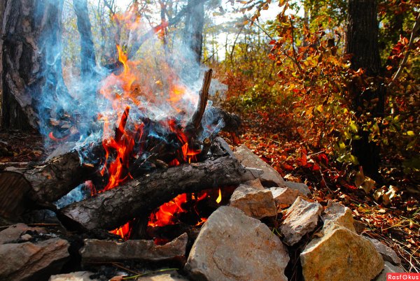 Осень лес костер
