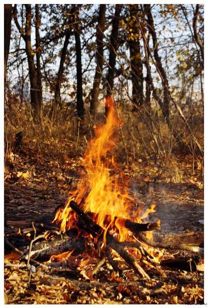 Костер в осеннем лесу