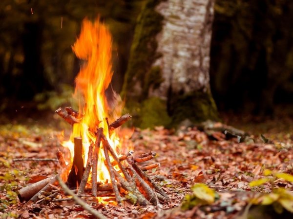 Осень костер