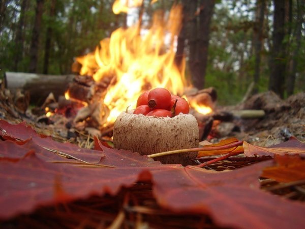 Осень костер