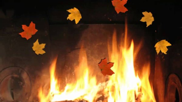 Сжигание листвы осенью
