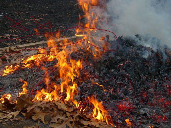 Сжигание листвы