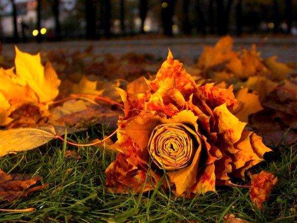 Пламя осени