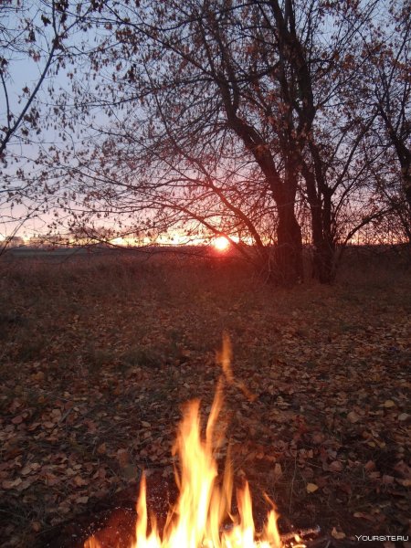 Осенний костер
