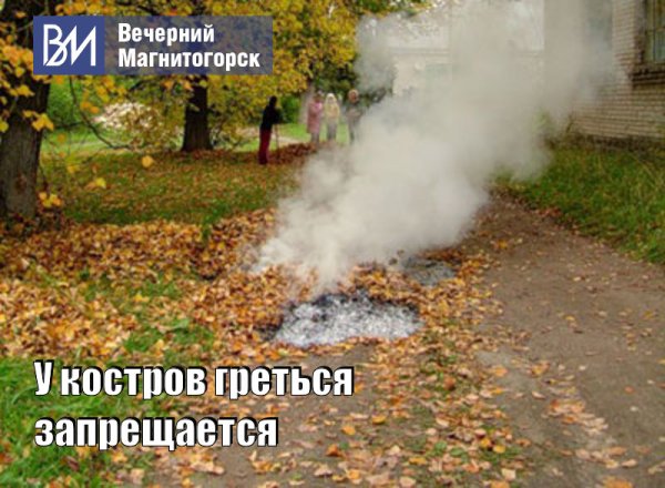 Сжигание опавшей листвы