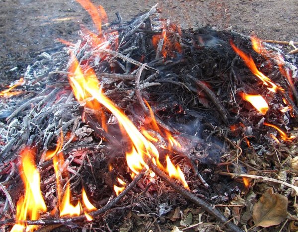 Осень костер