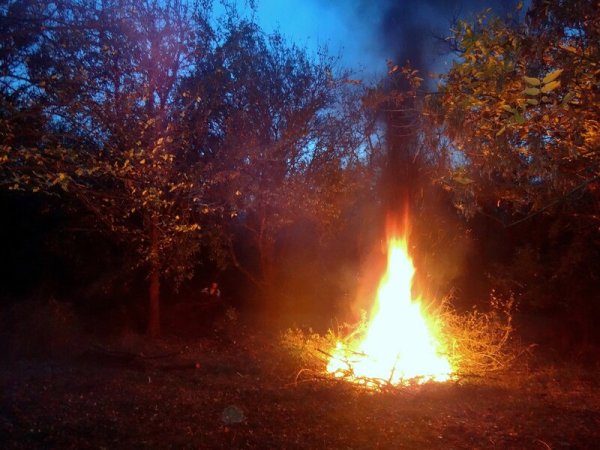 Осень костер