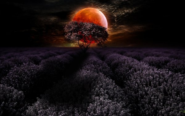 Природа Луны