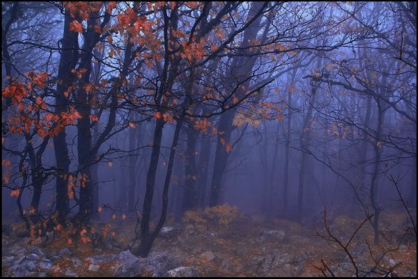 Поздняя осень ночь