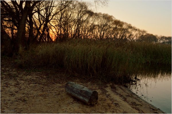 Осень сумрак