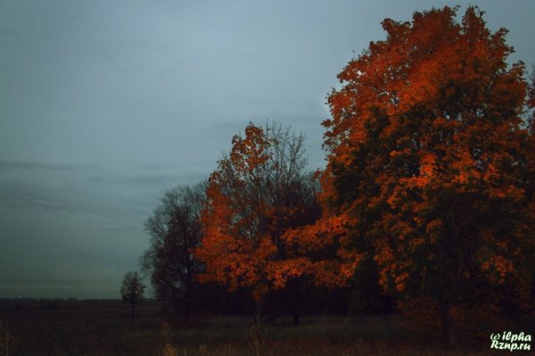 Осенние Сумерки