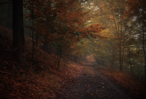 Мрачная осень