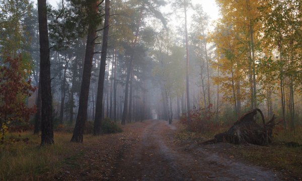 Осень Сумерки