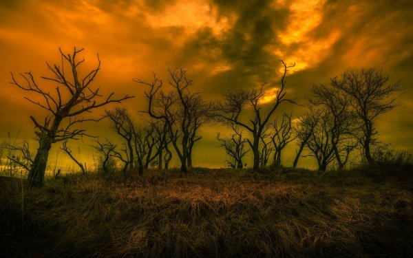 Осенние Сумерки