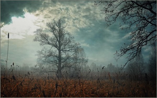 Сумрачный день