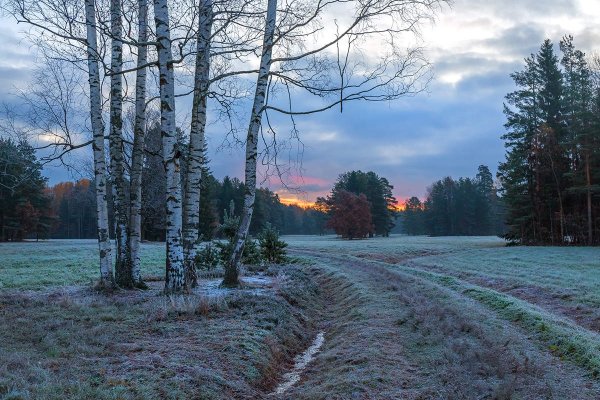 Федор Лашков Павловск