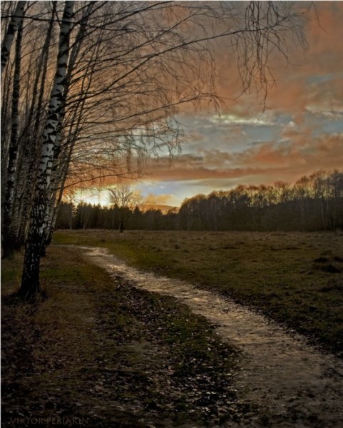 Осень Сумерки