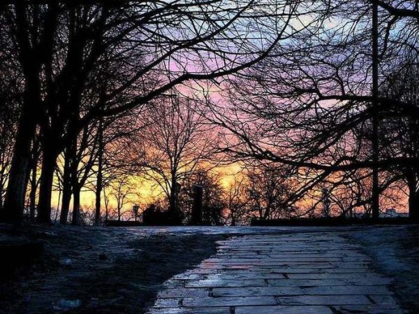 Сумерки осенью