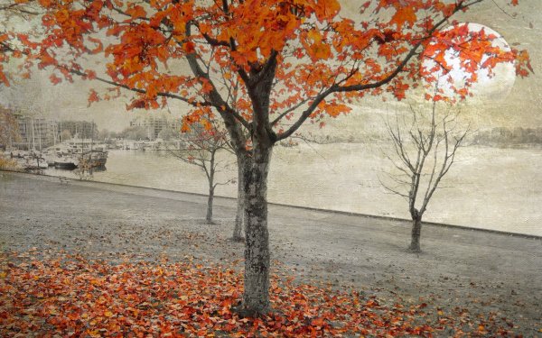 Осень Сумерки