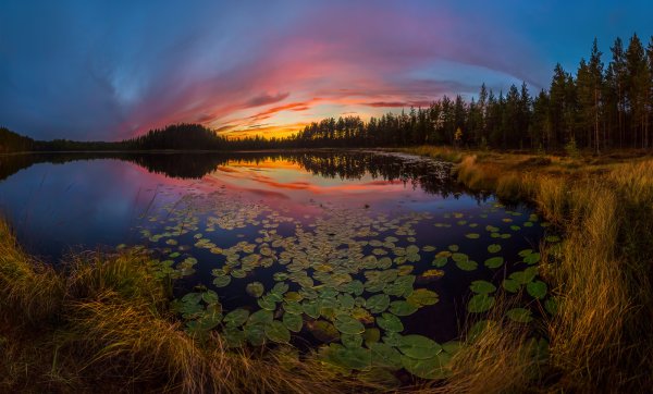 Федор Лашков Ленинградская область