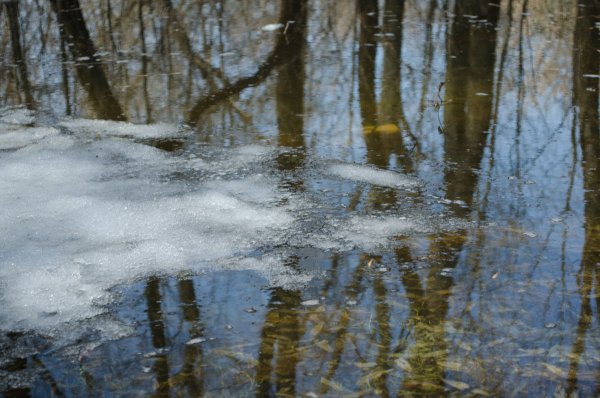 Снег растаял