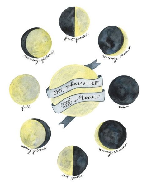 Фазы Луны рисунок