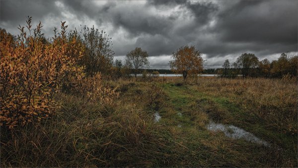 Хмурая осень