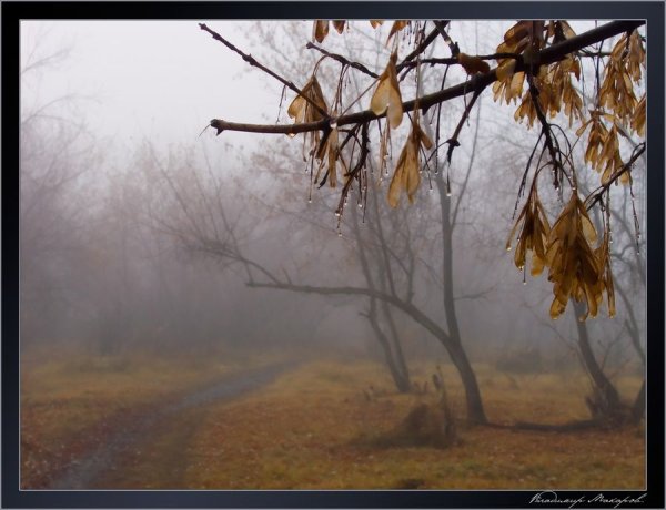 Середина осени пустеет воздух