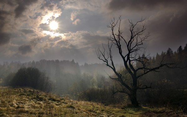 Унылый пейзаж