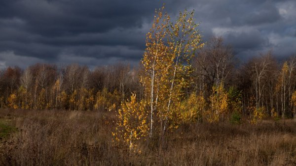 Пасмурная осень
