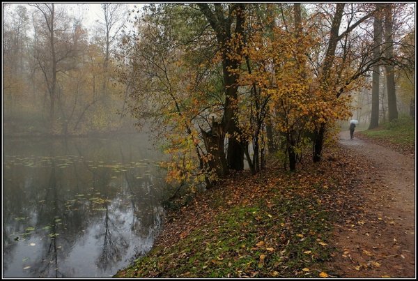 Моросящий осенний дождь