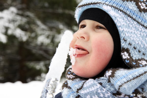 Дети едят снег и сосульки