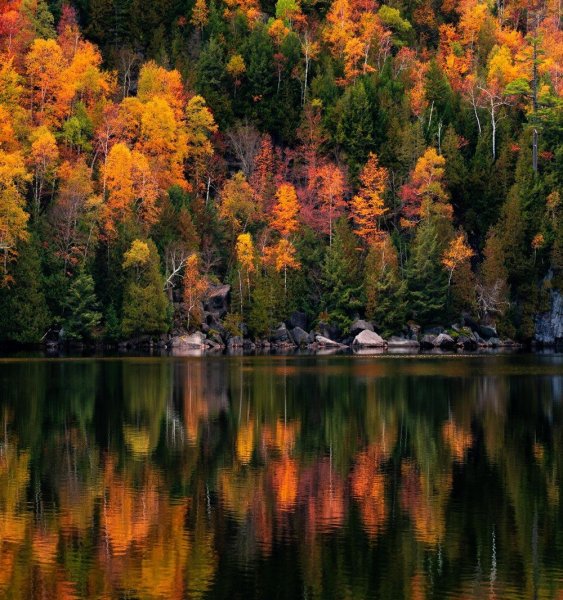 Красота осени