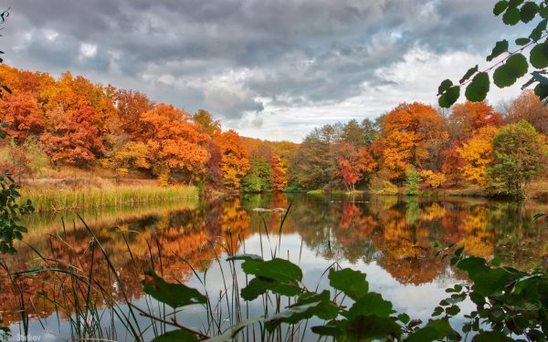 Красивая осень в России