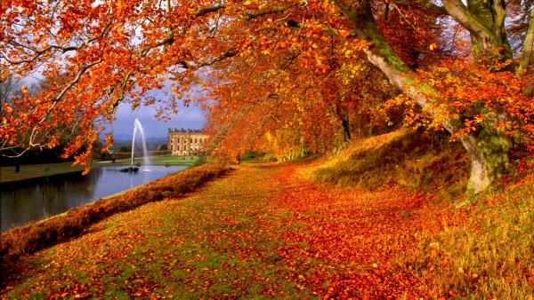 Красивая осень