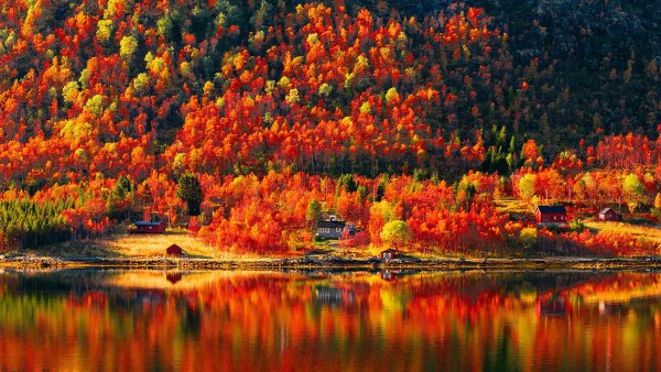 Осенние краски природы