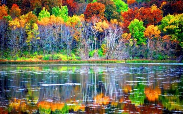 Осенние краски природы