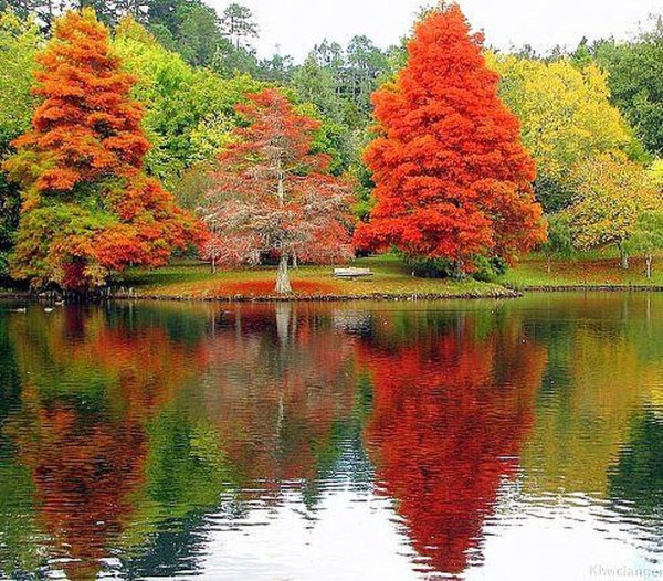 Красота осени