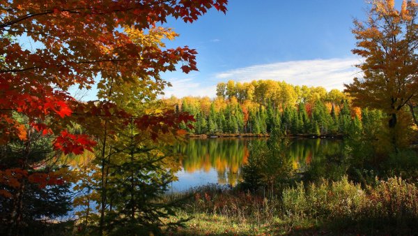 Природа осень