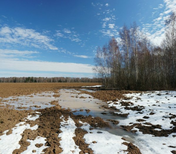 Ранняя Весна последний снег