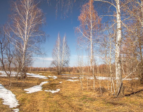 Последний снег