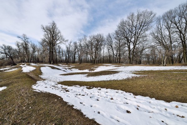 Весенний овраг