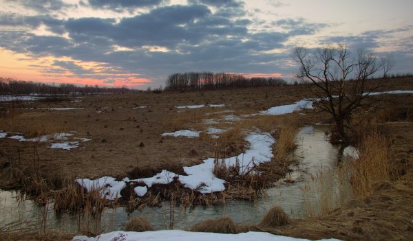 Левитан проталины