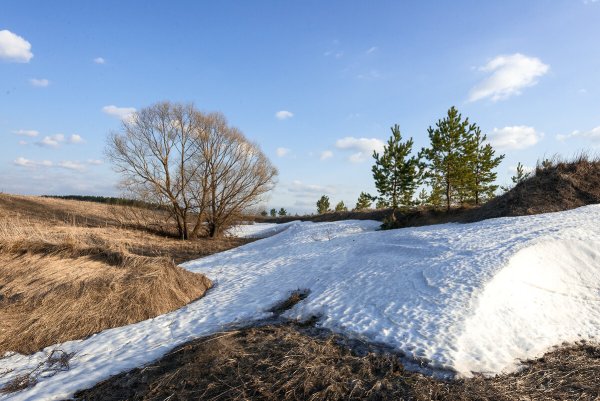 Весна без снега