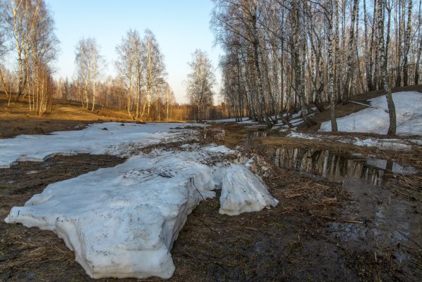 Тает снег в деревне