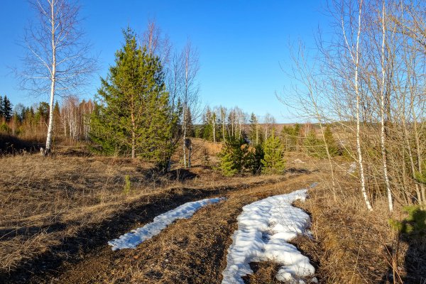 Последний снег